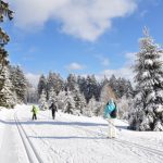 Winter im Thüringer Wald